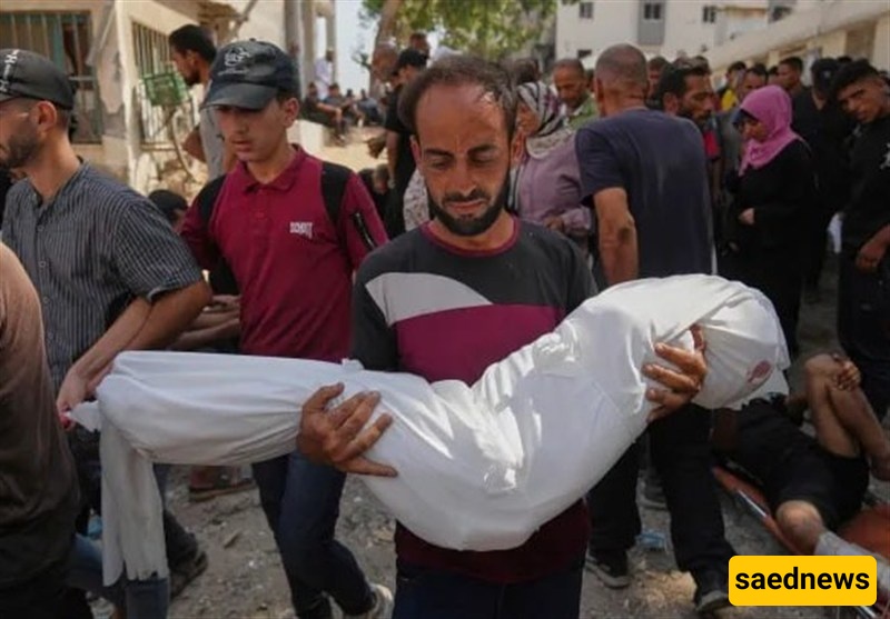 Israel Pushes Ahead with Forced Displacement Plan in Gaza despite Global Outcry