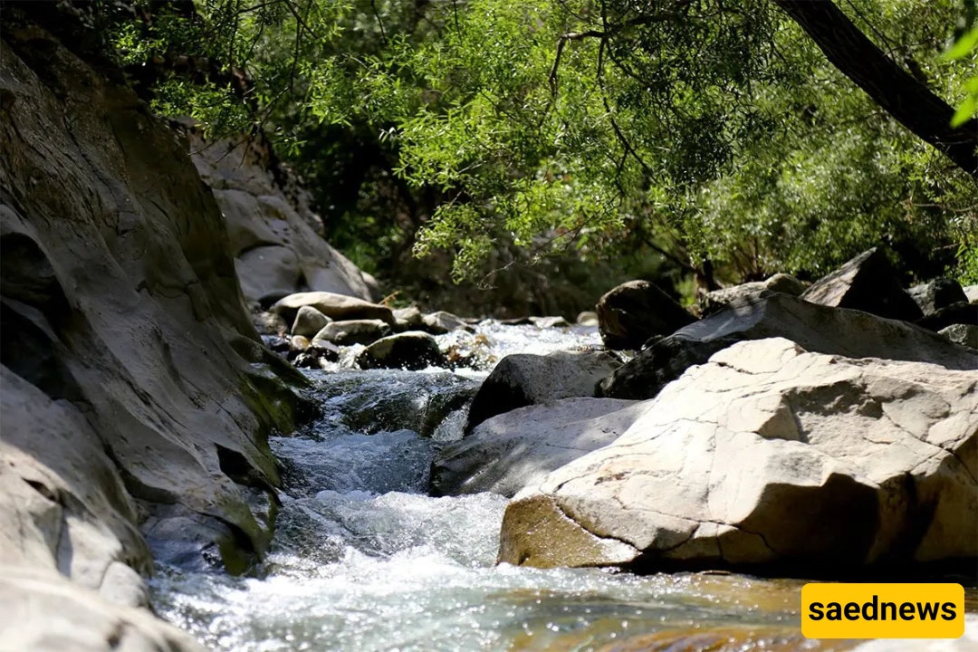 People Are Calling Chal Mahi The New Weekend Obsession — Here’s What Happens When You Go River-Walking