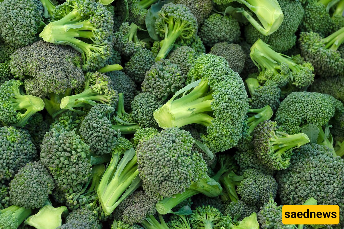 Broccoli 