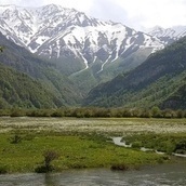 Qarqchal Reservoir: A Hidden Paradise in the Heart of Mazandaran Every Nature Lover Must See + Video