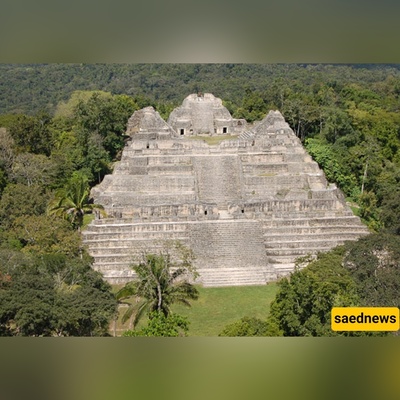 After 40 Years in the Jungle, This Couple Found a 1,700-Year-Old Maya Royal Tomb Packed with Jade and Treasure.