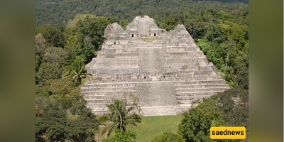 After 40 Years in the Jungle, This Couple Found a 1,700-Year-Old Maya Royal Tomb Packed with Jade and Treasure.
