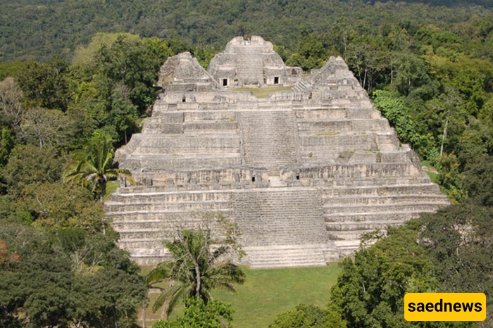 After 40 Years in the Jungle, This Couple Found a 1,700-Year-Old Maya Royal Tomb Packed with Jade and Treasure.