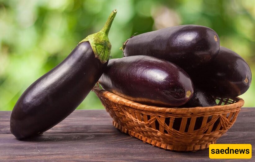 Eggplants 