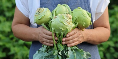 The Humble Kohlrabi With a Surprising Nutritional Profile: What You Should Know