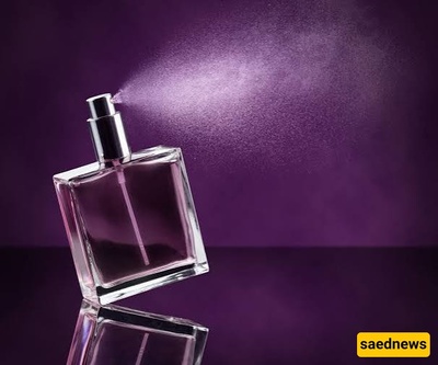 Complete Guide to Warm Fragrance Notes: Types of Warm Notes and the Best Perfume Brands