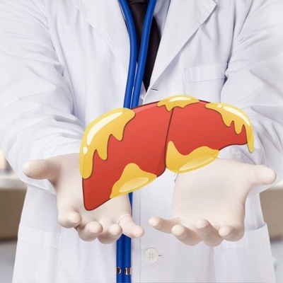 Can Chicory and Shatreh Herbal Tea Help Support Fatty Liver Health? How to Use Them and Important Warnings