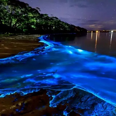 Discover the World’s Most Bizarre and Breathtaking Coastlines + Stunning Photos