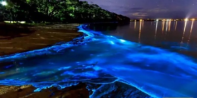 Discover the World’s Most Bizarre and Breathtaking Coastlines + Stunning Photos