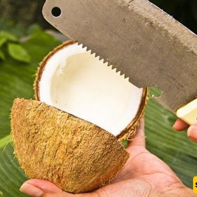 The Best Way to Peel a Coconut: Simple and Hassle-Free