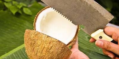 The Best Way to Peel a Coconut: Simple and Hassle-Free