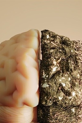 Alzheimer’s-Related Damage May Begin with an Immune Signal Outside the Brain