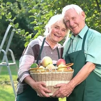 Aging and Geriatric Psychology: From Decline to Wisdom
