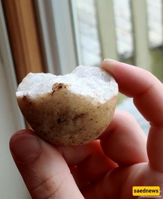 Interesting and Fascinating Images of Edible Stones