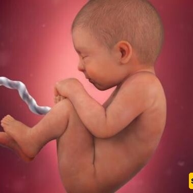 26-Year-Old Woman Becomes Pregnant Two Years After Husband’s Death – With Photos