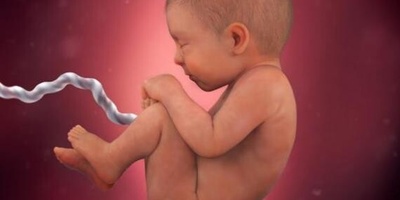 26-Year-Old Woman Becomes Pregnant Two Years After Husband’s Death – With Photos