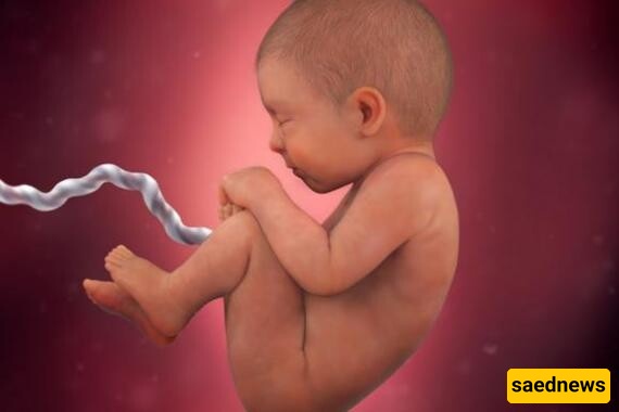 26-Year-Old Woman Becomes Pregnant Two Years After Husband’s Death – With Photos