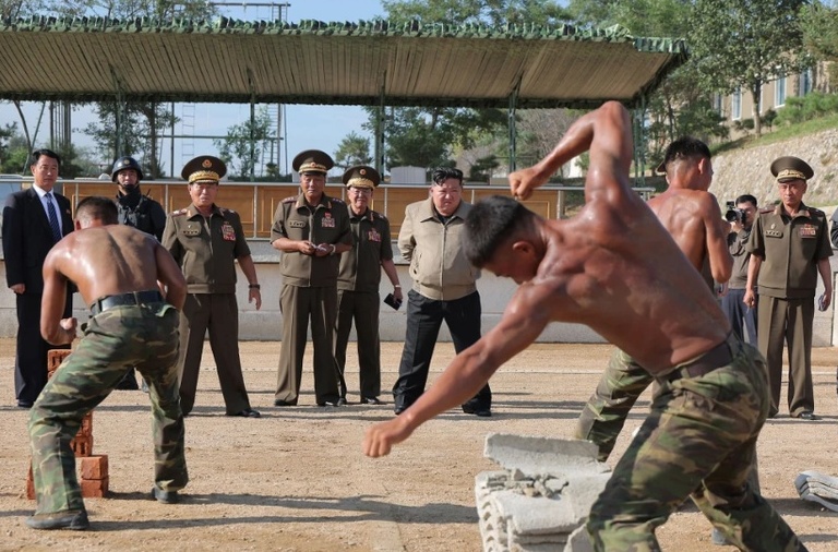 North Korean troops
