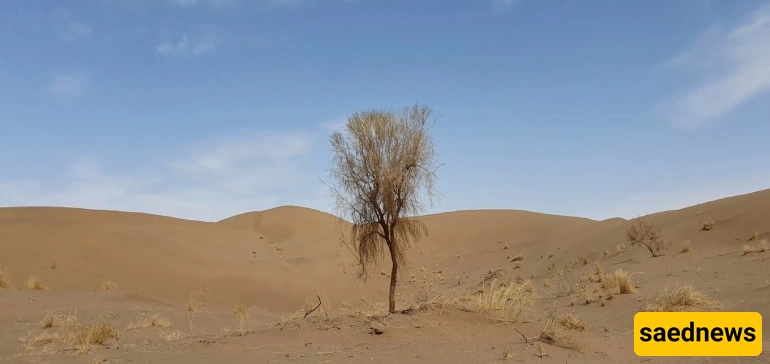Tabas Desert