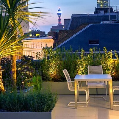 Designing a Rooftop Garden with New Ideas