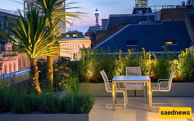 Designing a Rooftop Garden with New Ideas