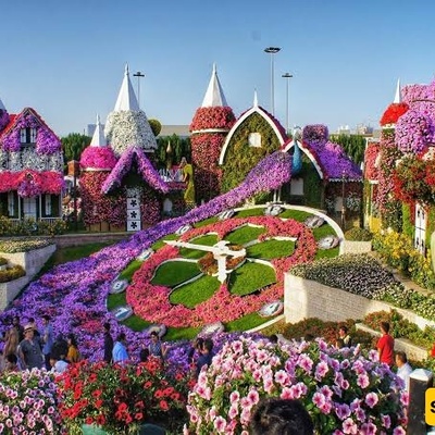 Miracle Garden | The World’s Largest Natural Flower Garden in Dubai