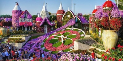 Miracle Garden | The World’s Largest Natural Flower Garden in Dubai