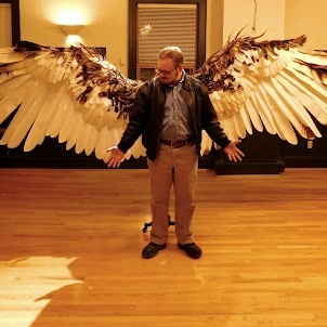 If Humans Had Wings, What Changes Would Occur in the Brain?