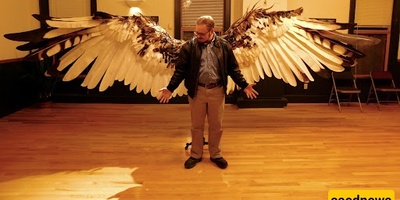 If Humans Had Wings, What Changes Would Occur in the Brain?