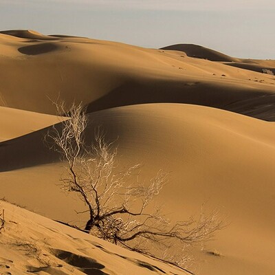 Maranjab Desert: Iran's Enchanting Oasis of Sands and Stars