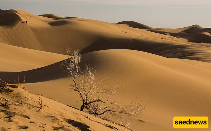 Maranjab Desert: Iran's Enchanting Oasis of Sands and Stars