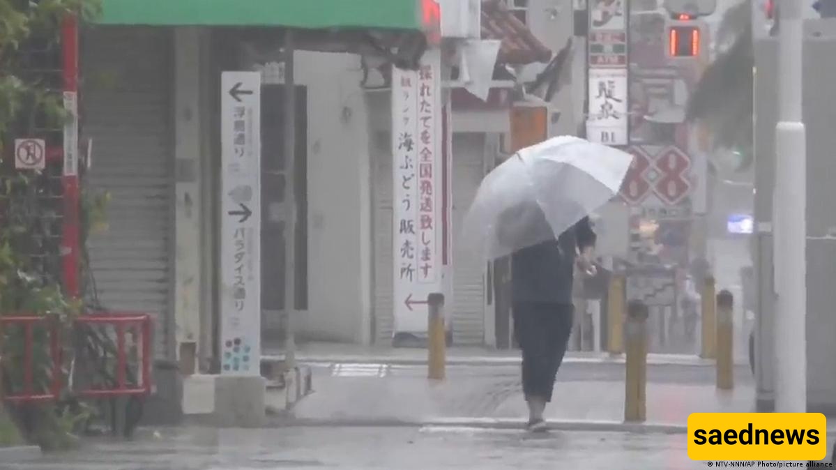 Typhoon Dolphin