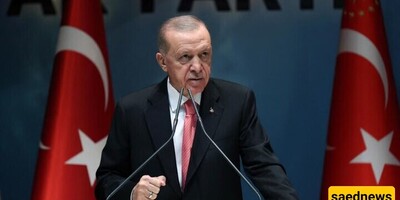 Erdogan Condemns Israel for Killing Turkish-American Activist