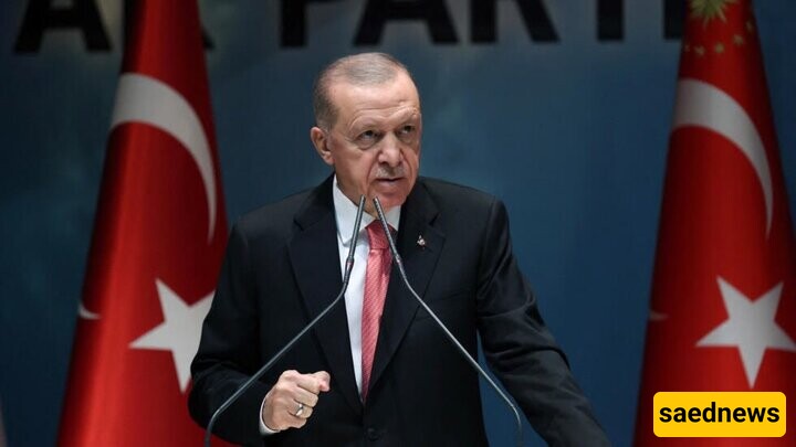 Erdogan Condemns Israel for Killing Turkish-American Activist