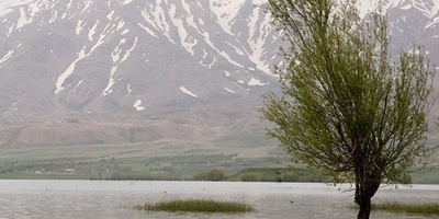 Discover Choqakhor Wetland, Gandoman – A Natural Gem of Lordegan, Iran