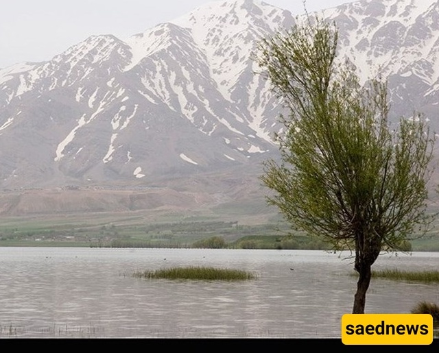 Discover Choqakhor Wetland, Gandoman – A Natural Gem of Lordegan, Iran
