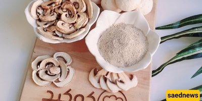 How to Make Homemade Mushroom Powder