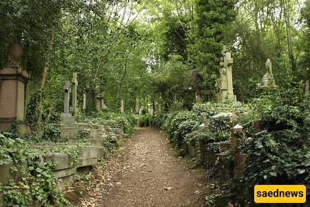 Cemetery