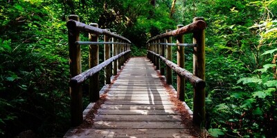 The History of Natural Bridges Formed by Erosion