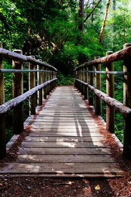 The History of Natural Bridges: How Erosion Shapes These Stunning Formations