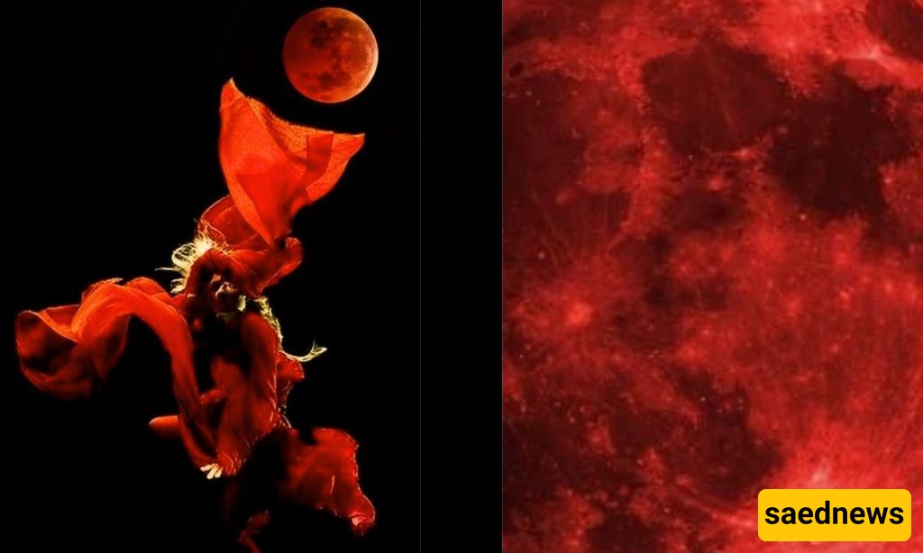 How to Dress for Total Lunar Eclipse? (Astrologer-Approved)