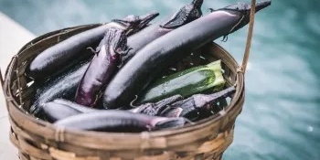 Tips for Storing Raw and Cooked Eggplant at Home