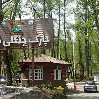 Complete Guide to Finn Forest Park in Chalus: A Must-See Natural Attraction in Mazandaran!