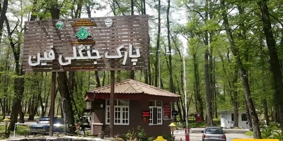 Complete Guide to Finn Forest Park in Chalus: A Must-See Natural Attraction in Mazandaran!