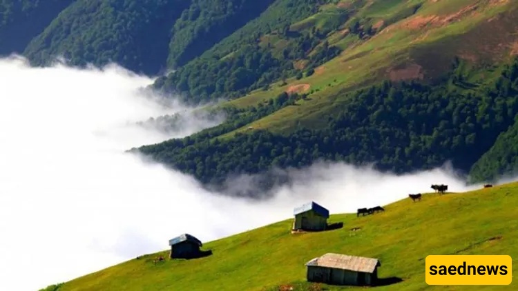 Filband Village