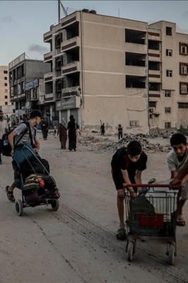 American Actress Highlights Gaza Crisis, Condemns Violence, Criticizes US Silence