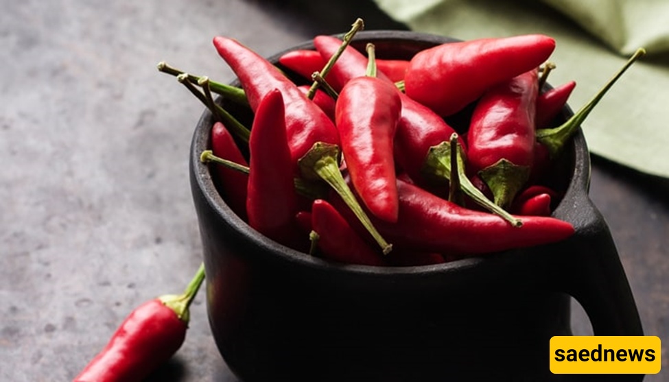 The Effectiveness of Red Chili Peppers in Weight Loss