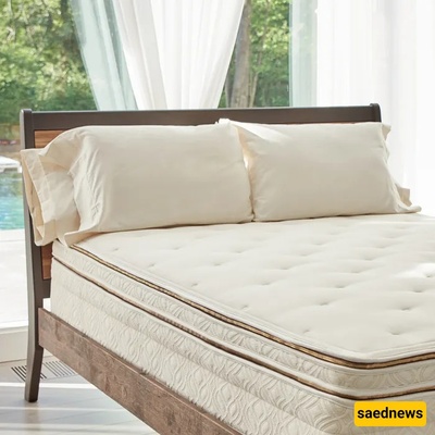 When Should You Check or Replace Your Pillow and Mattress?