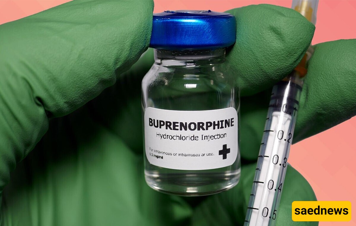 Treating Premature Ejaculation with Vitamin B2 or Buprenorphine: Reality or Risk?