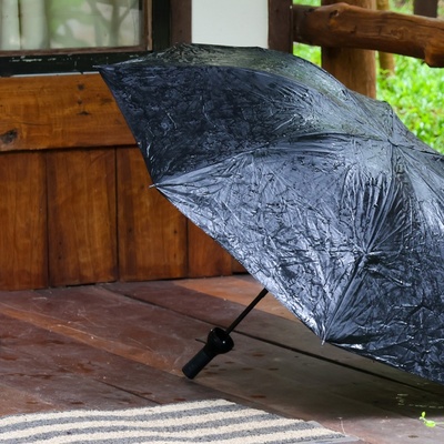 How to Properly Store a Wet Umbrella After Coming Home